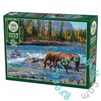 Cobble Hill 1000 db-os puzzle - On the Rocks (40267)