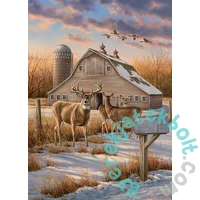 Cobble Hill 1000 db-os puzzle - Rural Route (40147)