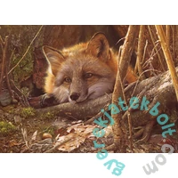 Cobble Hill 500 db-os puzzle - A Touch of Warmth (45005)