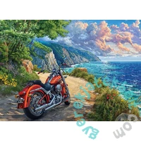 Cobble Hill 500 db-os puzzle - Arrived (45094)