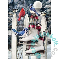 Cobble Hill 500 db-os puzzle - Birds with Skates (45071)
