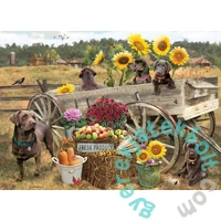 Cobble Hill 500 db-os puzzle - Choc Wagon (45096)