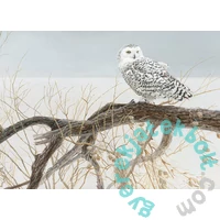 Cobble Hill 500 db-os puzzle - Fallen Willow - Snowy Owl (45050)