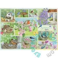 Cobble Hill 500 db-os puzzle - Garden Birds in Spring (45101)