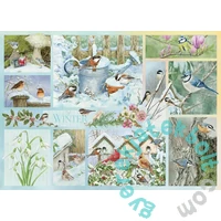 Cobble Hill 500 db-os puzzle - Garden Birds in Winter (45104)