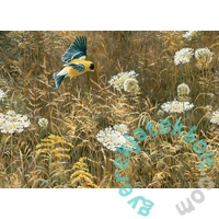 Cobble Hill 500 db-os puzzle - Queen Annes Lace and American Goldfinch (45087)
