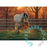 Cobble Hill 500 db-os puzzle - Quiet Time (45002)