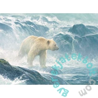 Cobble Hill 500 db-os puzzle - Salmon Watch - Spirit Bear (45026)