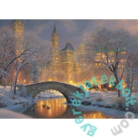 Cobble Hill 500 db-os puzzle - Winter in the Park (45044)