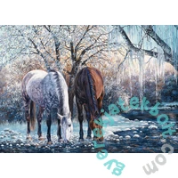 Cobble Hill 500 db-os puzzle - Winters Beauty (45056)