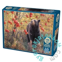 Cobble Hill 500 db-os puzzle - Den Dreams (45054)