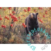 Cobble Hill 500 db-os puzzle - Den Dreams (45054)