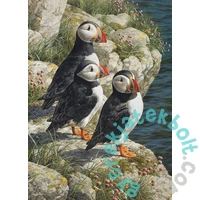 Cobble Hill 500 db-os puzzle - Fishermans Wharf (45052)