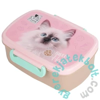 Cleo és Frank cicás műanyag uzsonnás doboz - rózsaszín (SACF45)