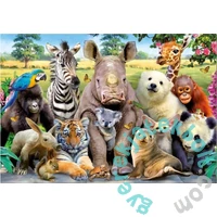 Educa 300 db-os puzzle - Osztálykép (15908)