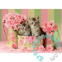 Educa 500 db-os puzzle - Cicák és rózsák (17960)