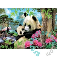 Educa 1000 db-os puzzle - Pandák (17995)