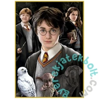 Educa 1000 db-os Miniature puzzle - Harry Potter (19490)