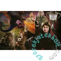 Educa 1000 db-os Miniature puzzle - Harry Potter és a Tűz serlege (19491)