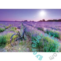 Educa - 1000 db-os puzzle - Levendulamező a napsütésben (19255)