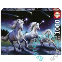 Educa 1000 db-os puzzle - Shooting Stars - Anne Stokes (19919)