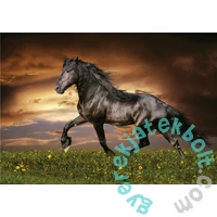 Educa 1000 db-os puzzle - Ügető paripa (19555)