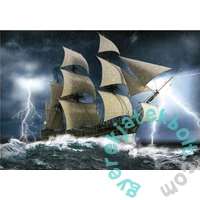 Educa 1000 db-os puzzle - Viharos éjjel (19556)