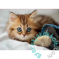 Educa 200 db-os puzzle - Kiscica (17154)