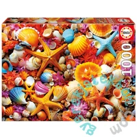 Educa 1000 db-os puzzle - Kagylók (20246)