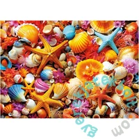 Educa 1000 db-os puzzle - Kagylók (20246)