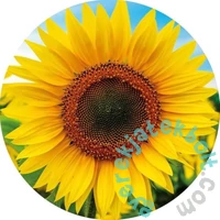 Educa 800 db-os kör alakú puzzle - Napraforgó (19034)