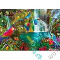 Educa 1000 db-os puzzle - Trópusi papagájok (18457)