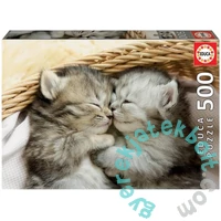 Educa 500 db-os puzzle - Édes cicák (19004)