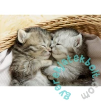 Educa 500 db-os puzzle - Édes cicák (19004)