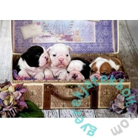 Educa 500 db-os puzzle - Kölykök (19007)