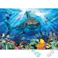Educa 500 db-os puzzle - Nagy fehér cápa (18478)