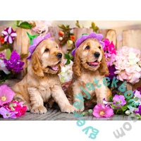 Enjoy 1000 db-os puzzle - Spaniel Puppies with Flower Hats (1263)