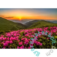 Enjoy 1000 db-os puzzle - Pink Dusk (2063)