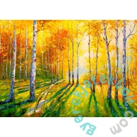 Enjoy 1000 db-os puzzle - Birch Grove (1690)