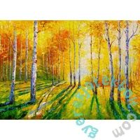 Enjoy 1000 db-os puzzle - Birch Grove (1690)