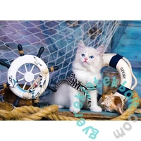 Enjoy 1000 db-os puzzle - Captain Kitten (1329)