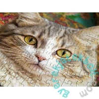 Enjoy 1000 db-os puzzle - Cat in Bloom (2343)