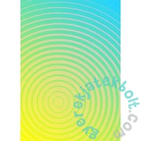 Enjoy 1000 db-os puzzle - Circle Gradient Number Four (1311)