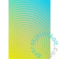 Enjoy 1000 db-os puzzle - Circle Gradient Number Four (1311)