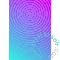 Enjoy 1000 db-os puzzle - Circle Gradient Number Three (1308)