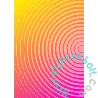 Enjoy 1000 db-os puzzle - Circle Gradient Number Two (1305)