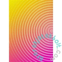 Enjoy 1000 db-os puzzle - Circle Gradient Number Two (1305)