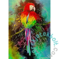 Enjoy 1000 db-os puzzle - Colorful Parrot (1787)