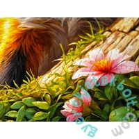 Enjoy 1000 db-os puzzle - Curious Fox (2387)