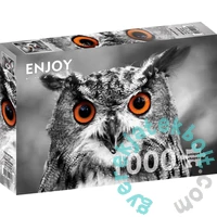 Enjoy 1000 db-os puzzle - Curious Owl (1626)